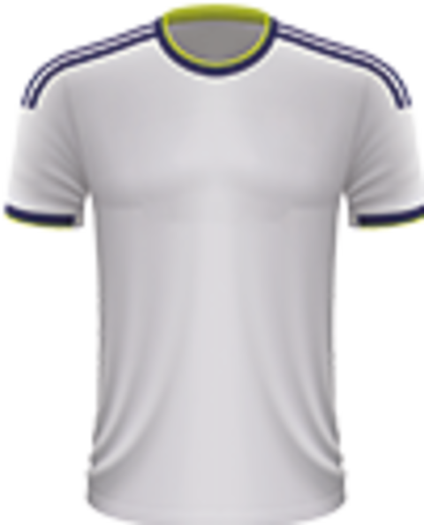 Voetbalreizen Leeds United