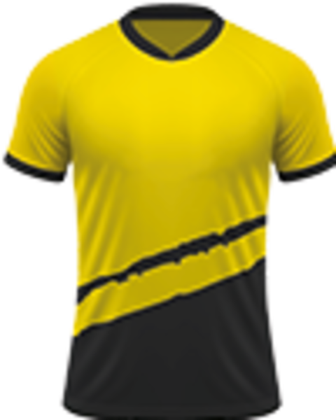 Voetbalreizen Borussia Dortmund